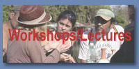Workshops & Lectures